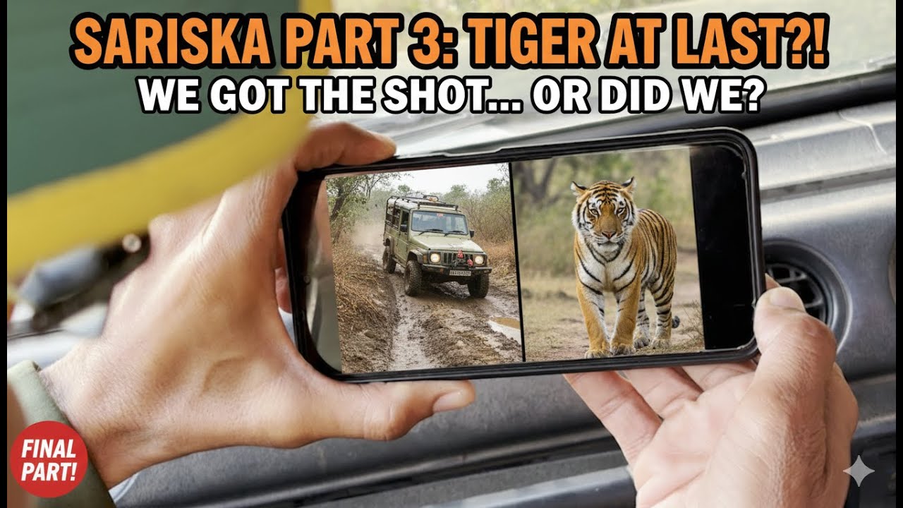 SARISKA PART 3: Did We Finally See The Tiger?! 🤯 Extreme Safari Finale!