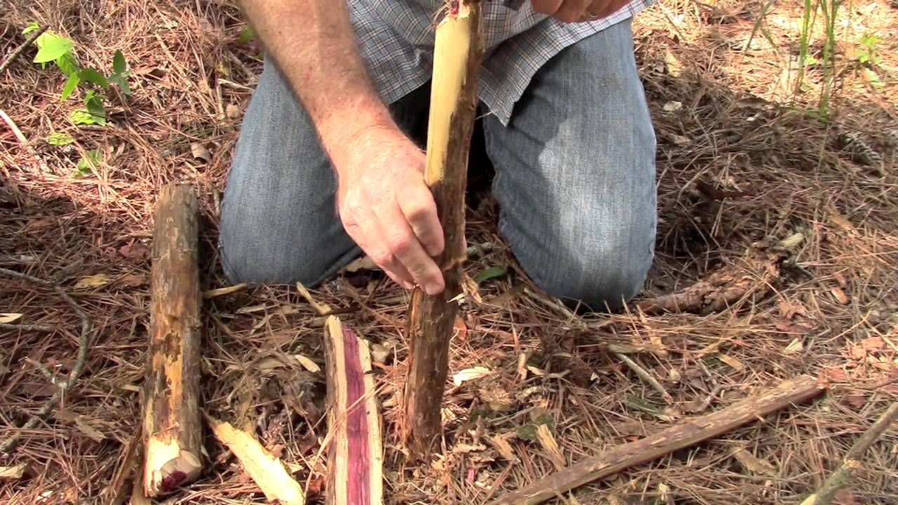 Schrade SCHF36M Bushcraft Knife Review and One Stick Fire