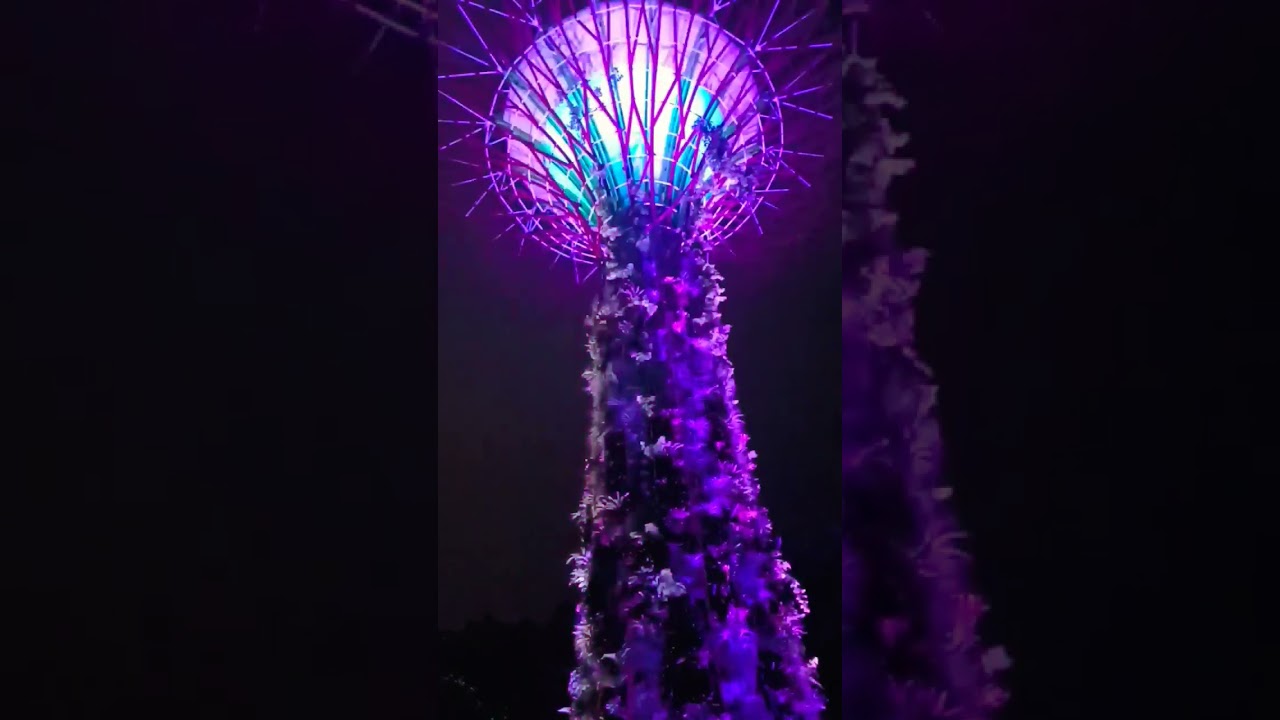 SUPERTREE GROVE OBSERVATORY LIGHT SHOW IN SINGAPORE #shorts