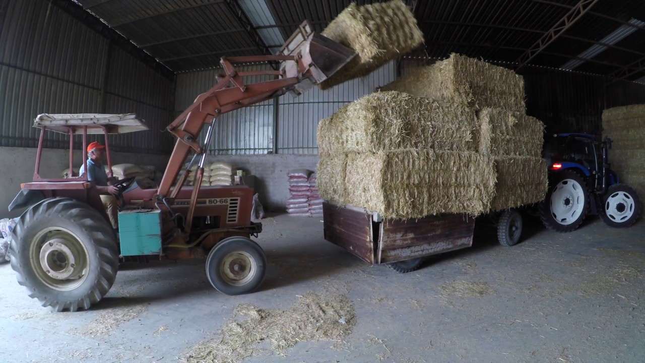 Büyük Balya İstifleme (500kg) - Fiat 80 66 & New Holland TR6.120