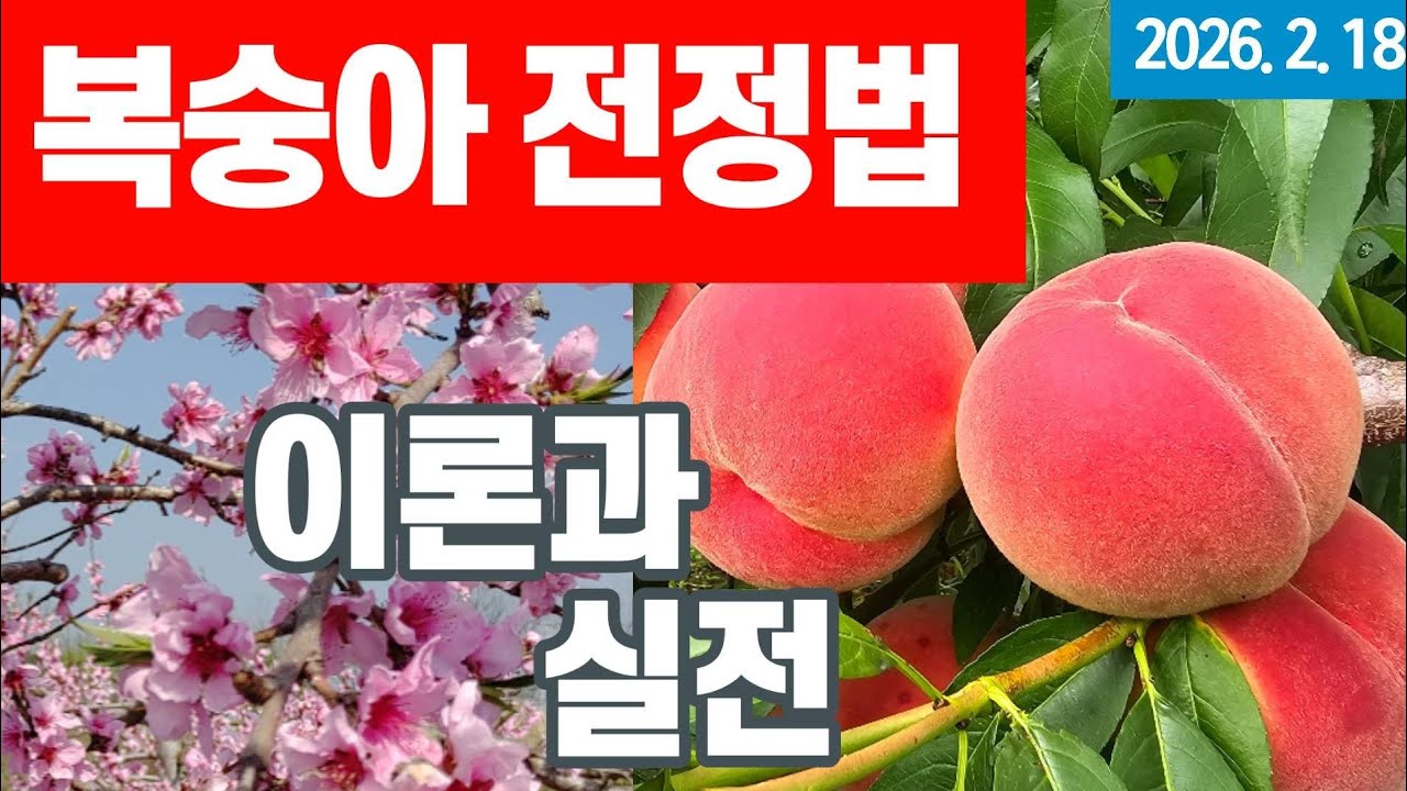 복숭아나무 가지치기 - 이론과 실전