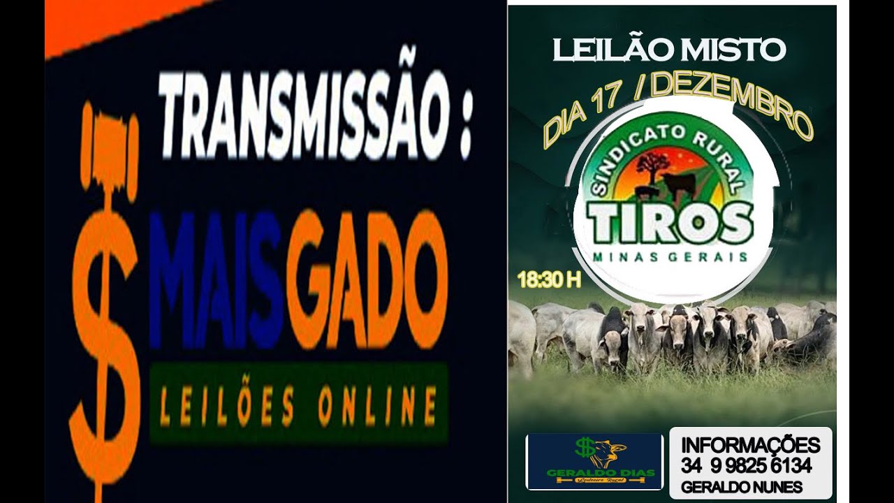 🐂🐄🐃 LEILÃO VIRTUAL DO SINDICATO DOS PRODUTORES RURAIS DE TIROS- MAIS GADO LEILÕES ONLINE 🐂🐄🐃
