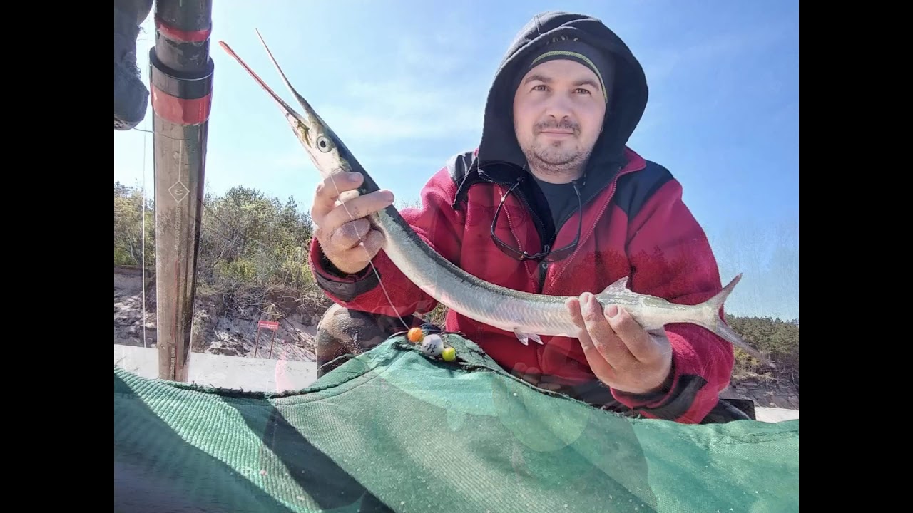 Belona i leszcz Surfcasting 2019r