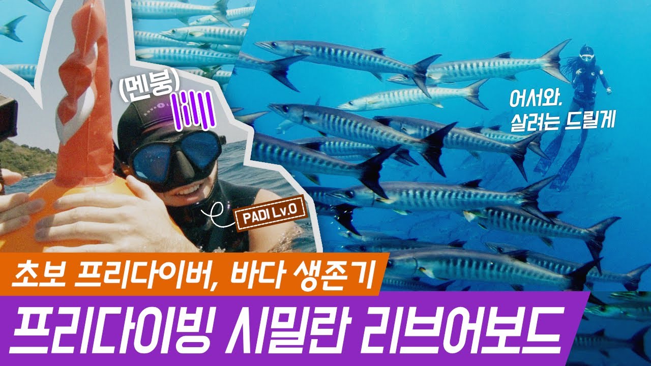 쌩초보 프리다이버의 태국 시밀란 리브어보드 모험기