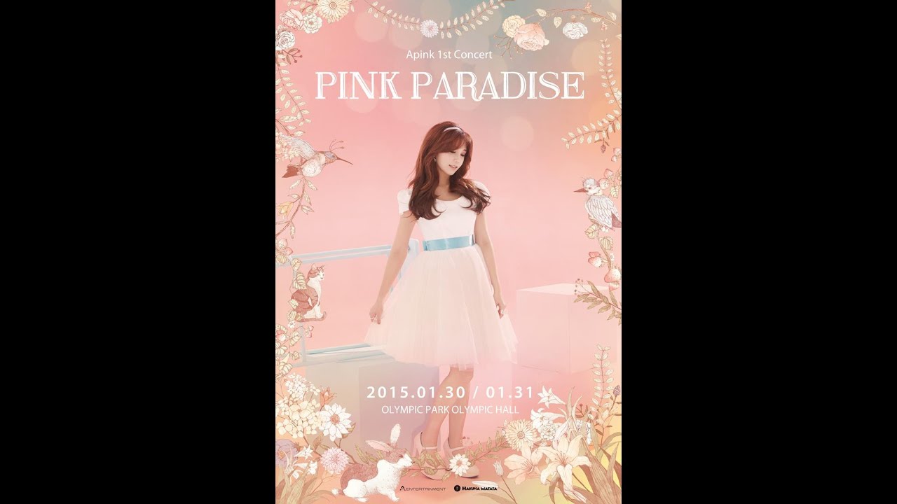[AUDIO] 150130 Pink Paradise Concert 정은지 - Listen