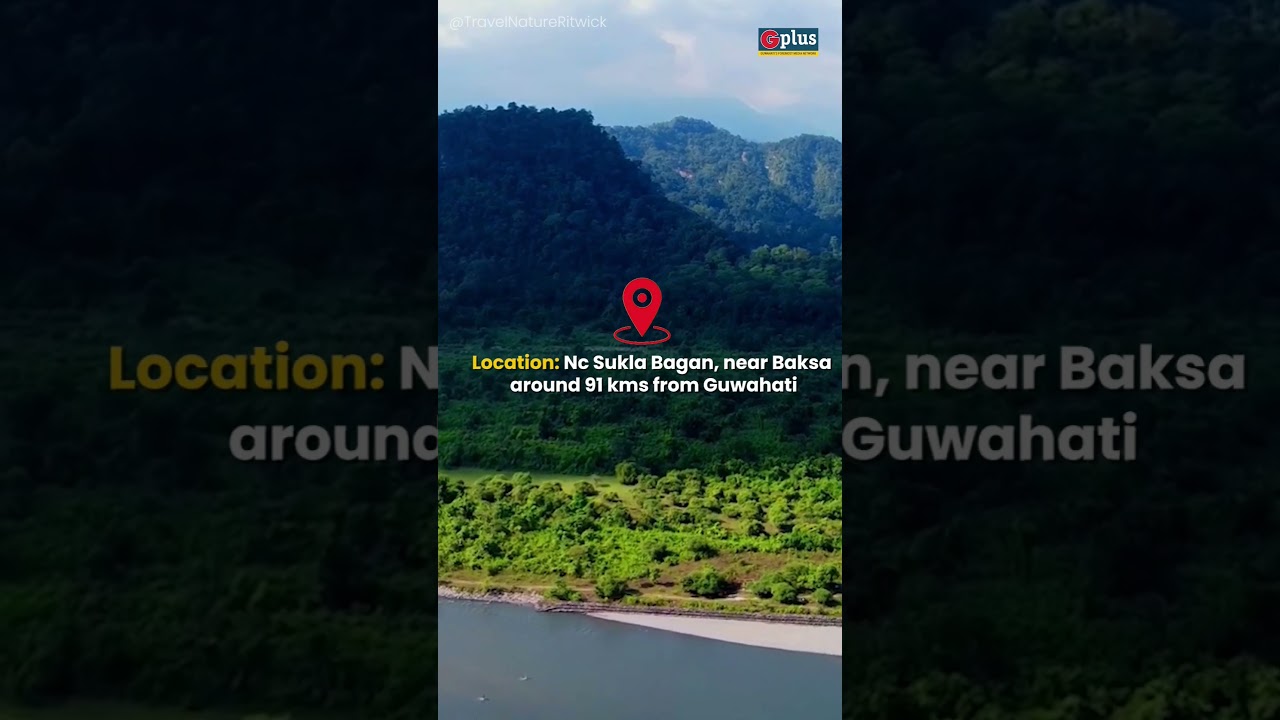 5 picnic spots near Guwahati. Check this out! #shorts #picnic #picnicspot #guwahati #assam