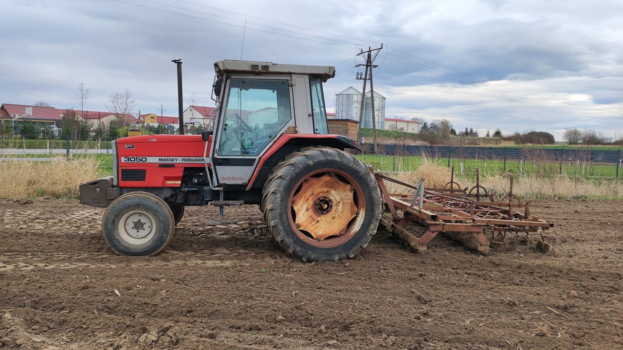 Massey Ferguson 3050 & agregat Kverneland wiosenne włókowanie pod kukurydzę