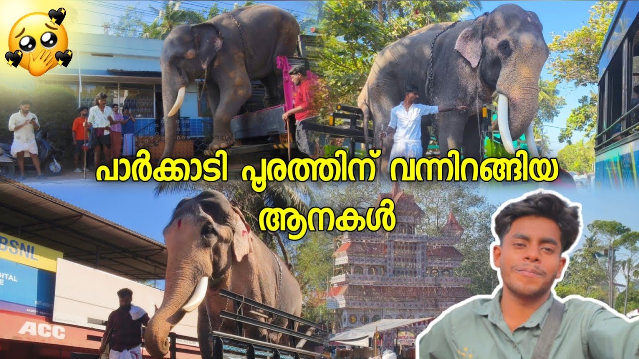 Parkkadi Pooram 2026 | പാർക്കാടി പൂരം 2026 | Travel Vlog #parkkadi_pooram_2026