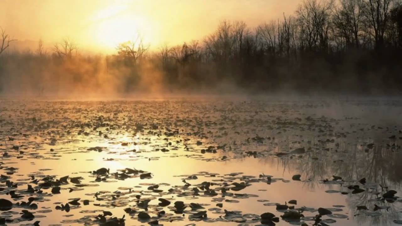 Chinese Fantasy - Music for Relaxation and Meditation