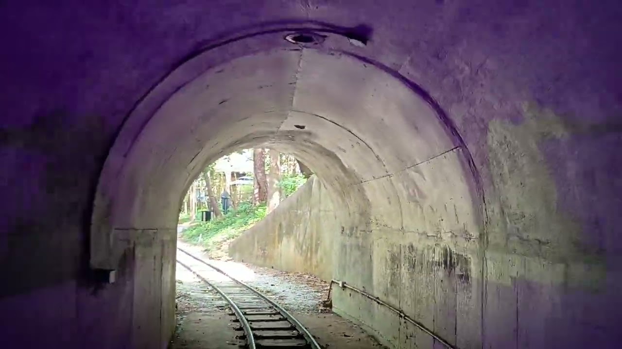 Safari Express | Norfolk Southern Zoo Train | Backward Ride | Zoo Atlanta | March 2026