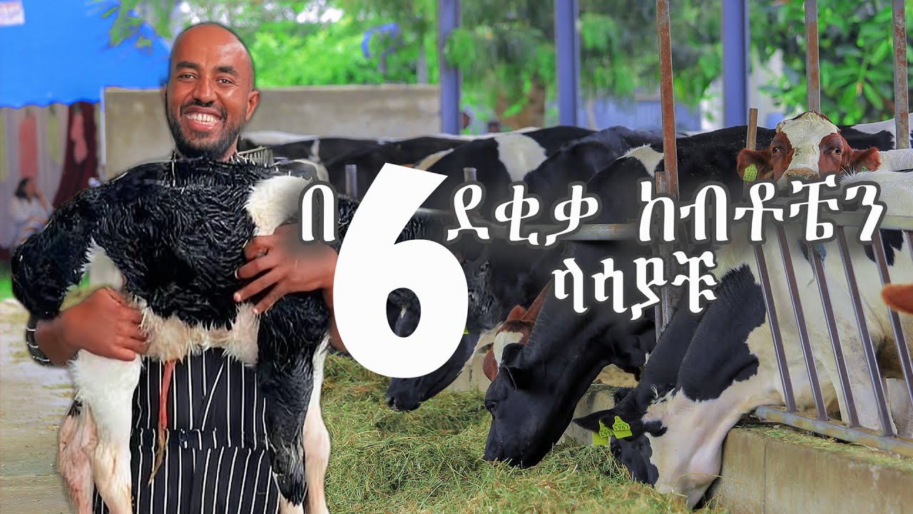 Anan Agro Industry ግቢያችን በጥቂቱ ይህን ይመስላል