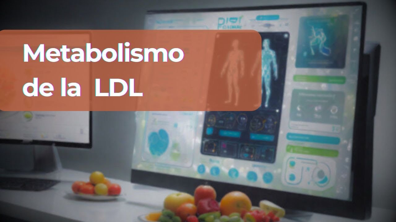Metabolismo de la Lipoproteina LDL: Origen, Composición y Destino Metabólico en el Organismo