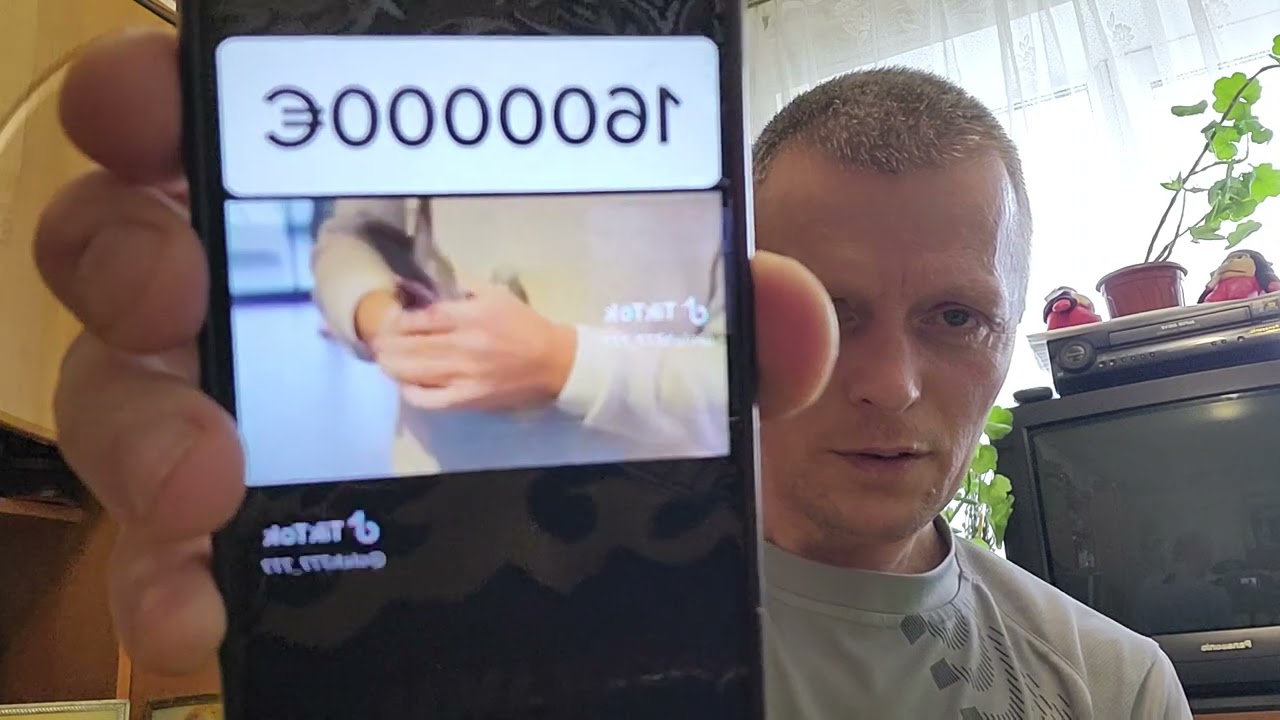 Разговор о спортивных голубях и Николаевских.