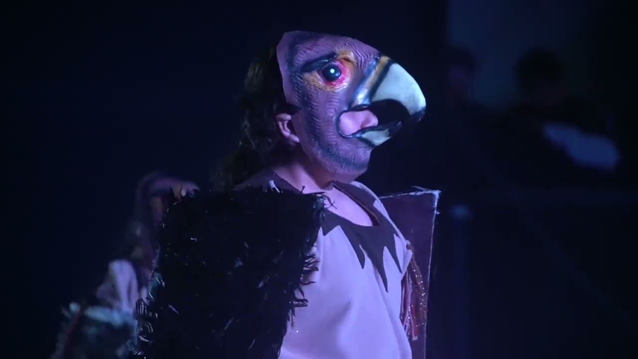 DANZA LOS HALCONES DE HUAMACHUCO