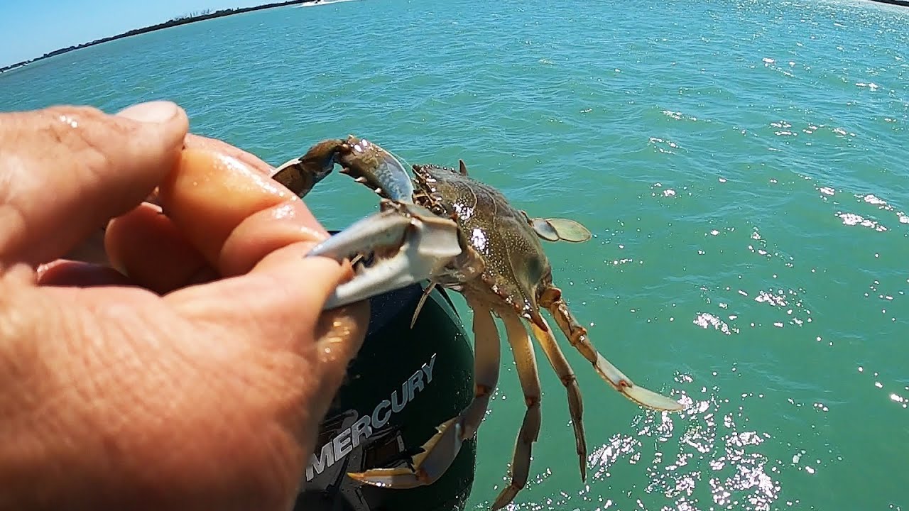 Catching Crabs with No Bait!! Catch Clean and Cook