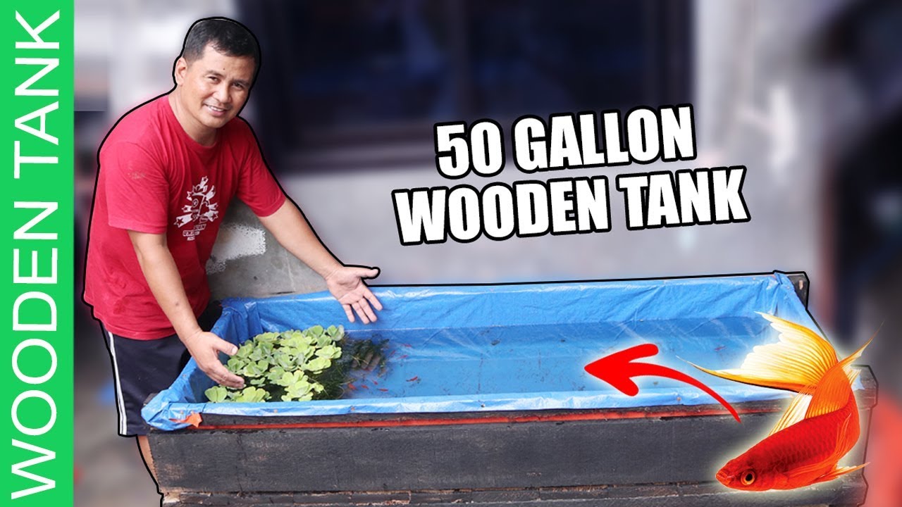 12 DIY steps - BUILDING WOODEN TANK FOR LIVE BEARER FISHES ( STEP BY STEP TUTORIAL)