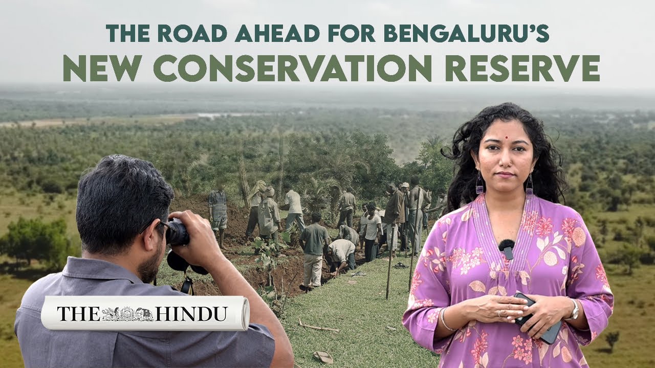 'Wasteland' to biodiversity hotspot: Tracing the transformation of Hesaraghatta grassland