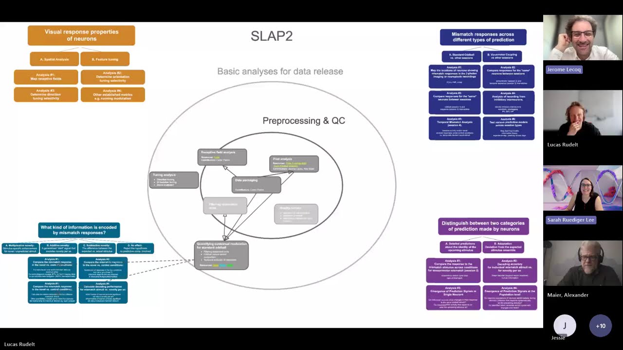 Predictive Processing Community Project  - Weekly meeting 03/17/26