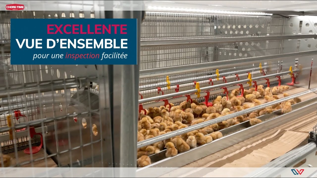 Le VOLUTION2, un système d'élevage de poulette en volière | CHORE-TIME