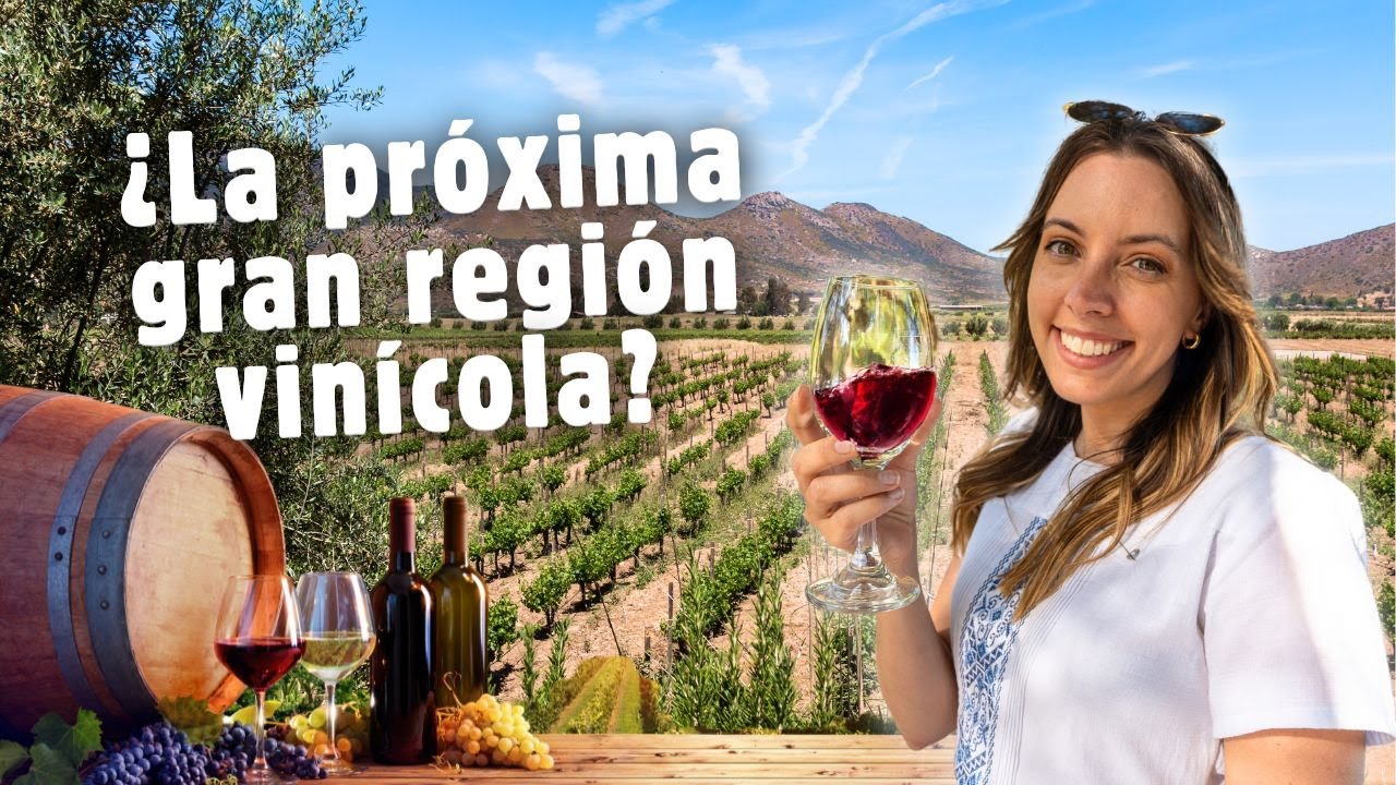 ¡Un día en la Ruta del Vino y Queso de México! 🍷 Cosas que hacer en Querétaro, México