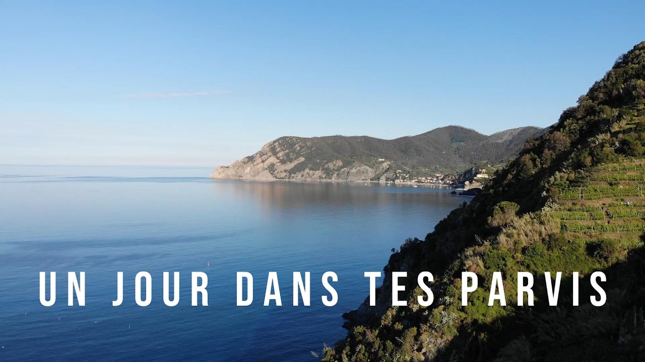Un jour dans tes parvis - Louanges en guitare