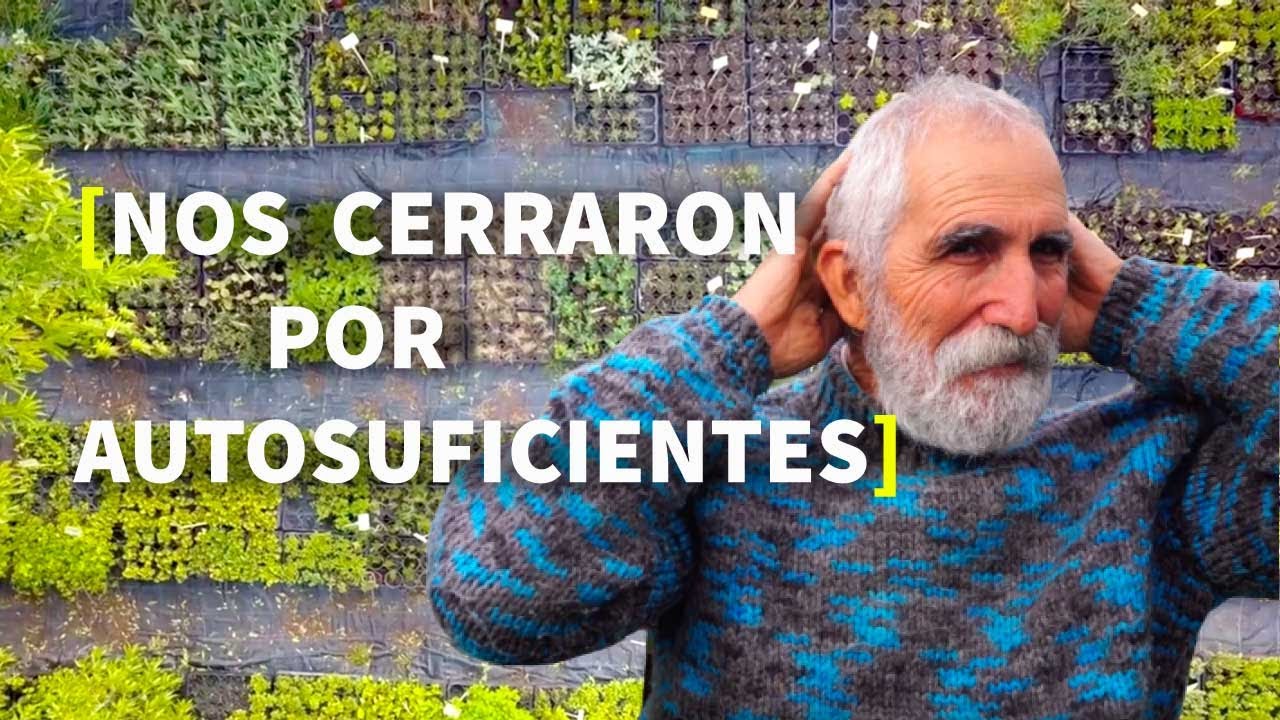 AUTOSUFICIENCIA 👨‍🌾 Creamos una REPÚBLICA  y nos CERRARON por AUTOSUFICIENTES