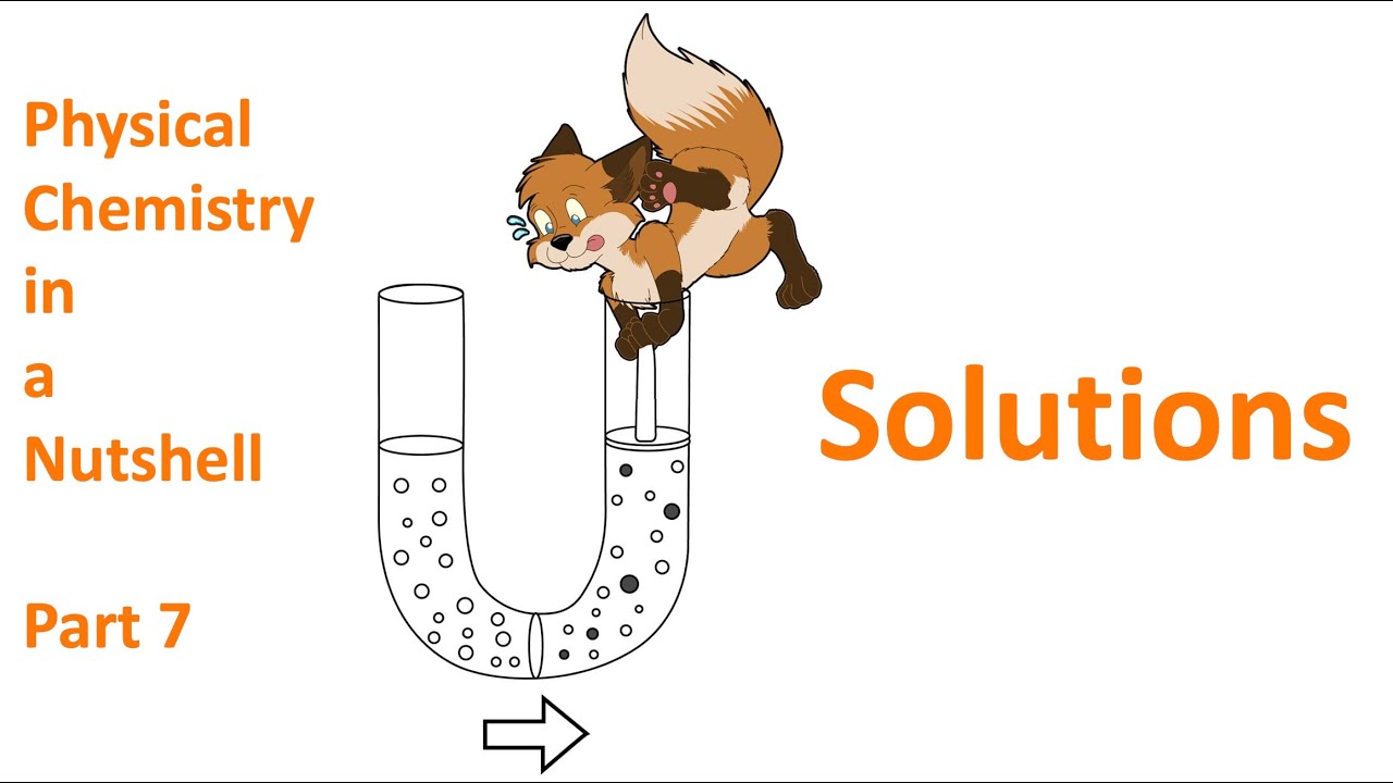 Solutions 101 (How do solvent & solution differ? [Freezing/boiling point, osmosis] PhysChemBasics#7)