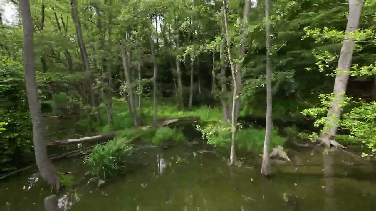 Les Hrotovice Dron dji avata