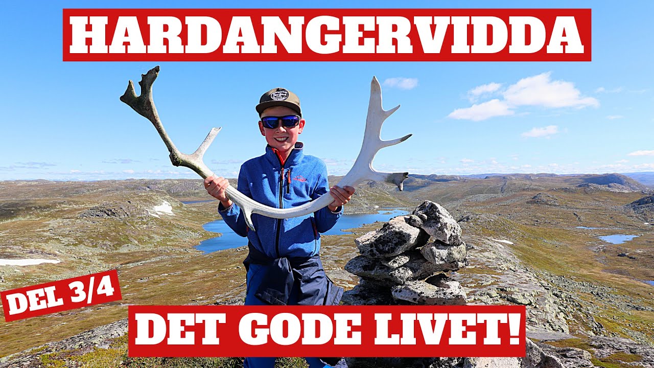 Vikbekkfjellet - Hardangervidda - Friluftslivet nytes med topptur, fiske og masse hygge Del 3/4