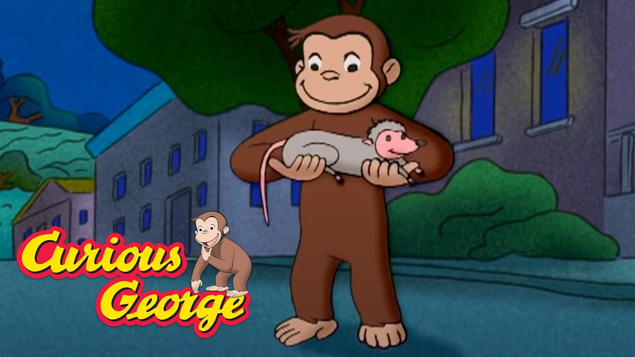 George Meets Nighttime Animals __ Curious George __ Kids Cartoon __ Videos for Kids