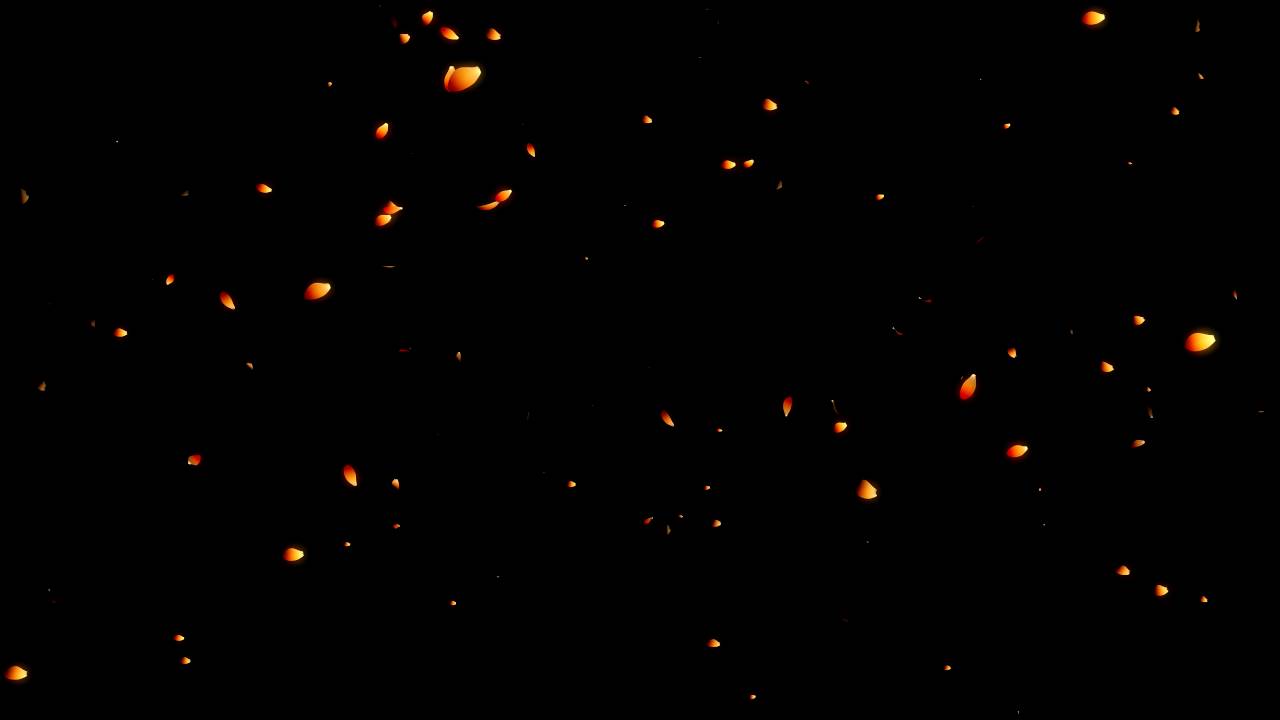4K Falling Petals Flower Background 4K Video