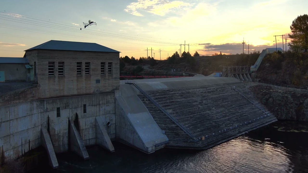 Best way to install bird diverters: with a drone!