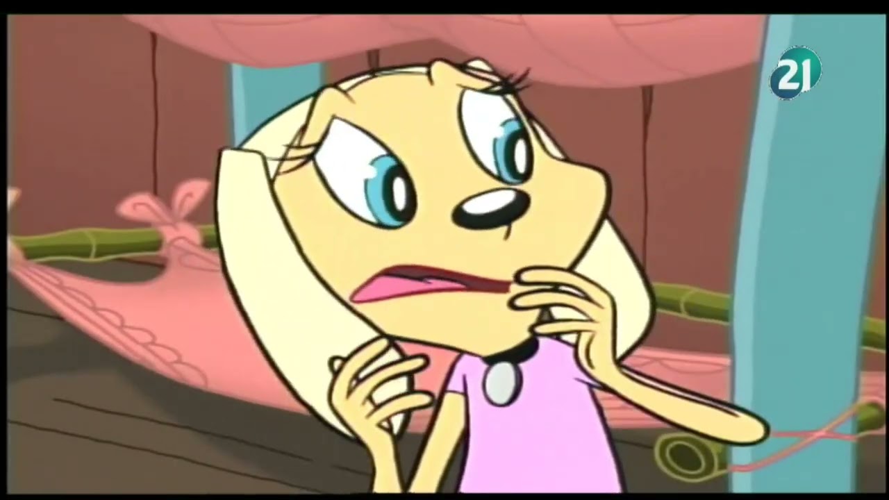 Brandy y el señor bigotes - Zapatos Delatores