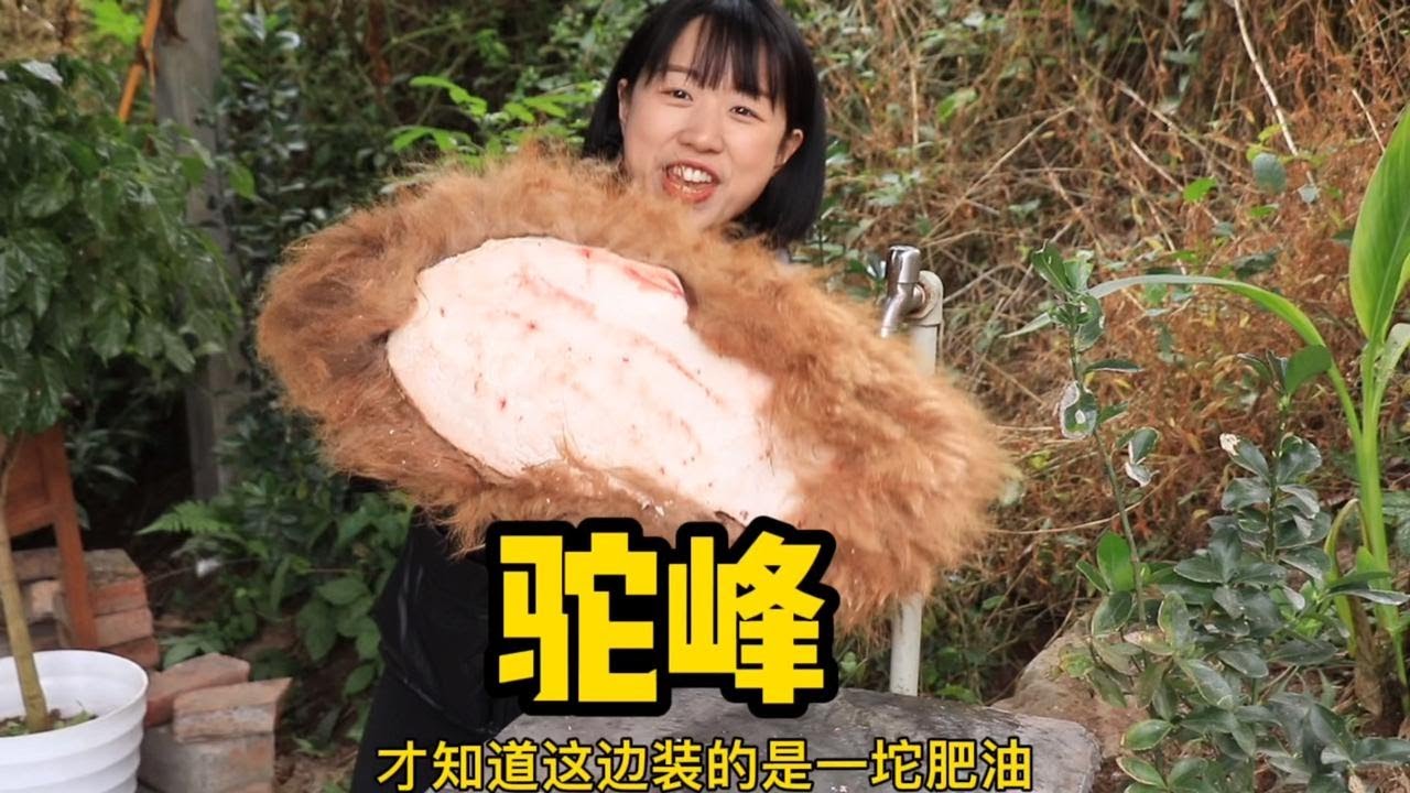 没有想到驼峰这样蒸来吃还有股奶香味，简直巴适得很。