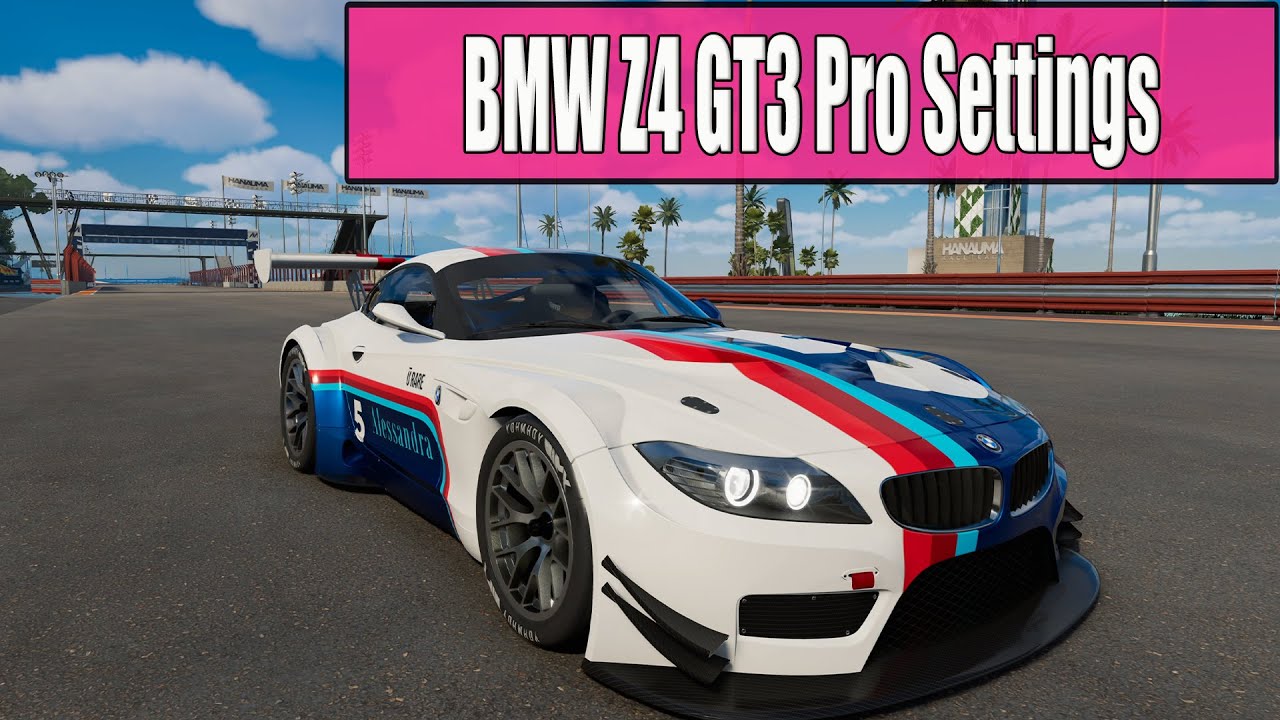 The Crew Motorfest 2011 BMW Z4 GT3 Pro Settings