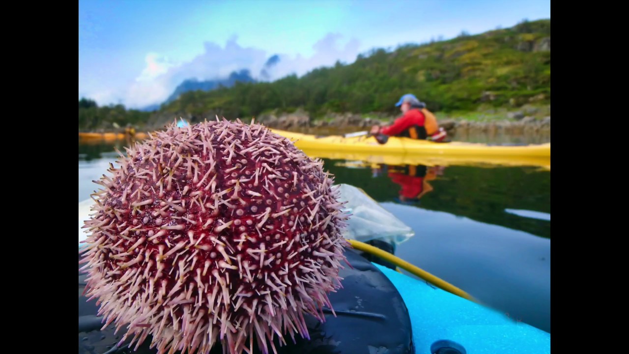 Sea Kayaking Lofoten 2018, Norwegian Artic Circle