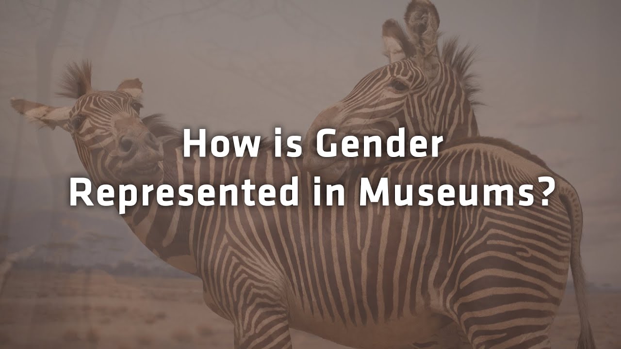 How is Gender Represented in Museums? Ask A Scientist