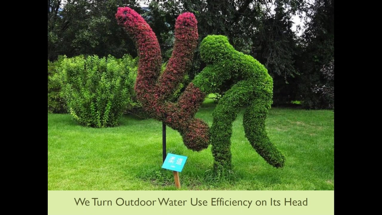 AWE/EPA Partner Webinar - The Garden Gurus&rsquo; Watershed Approach to Landscaping