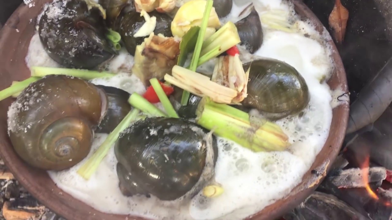 Find and cooking snail in forest - Collect Snail Cook For Food Eating delicious