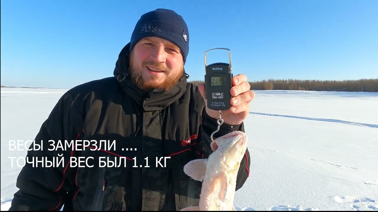 ПРОВЕРКА НОЧНЫХ ЖЕРЛИЦ.