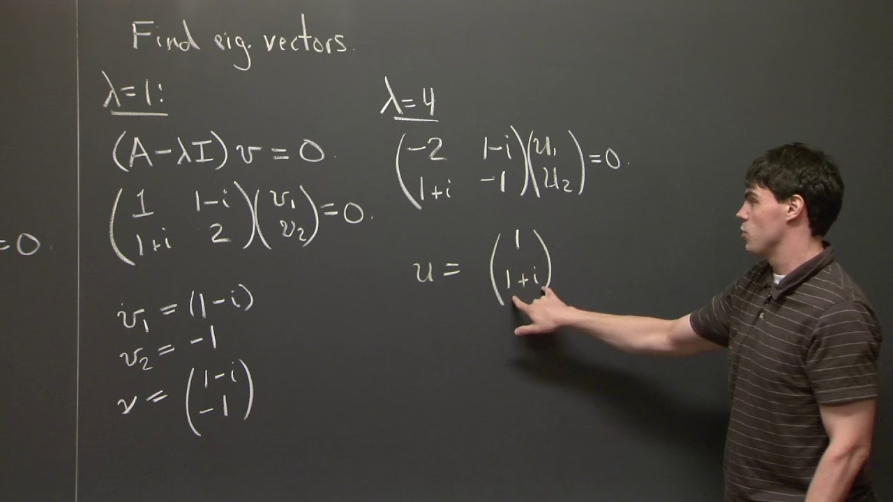 Complex Matrices