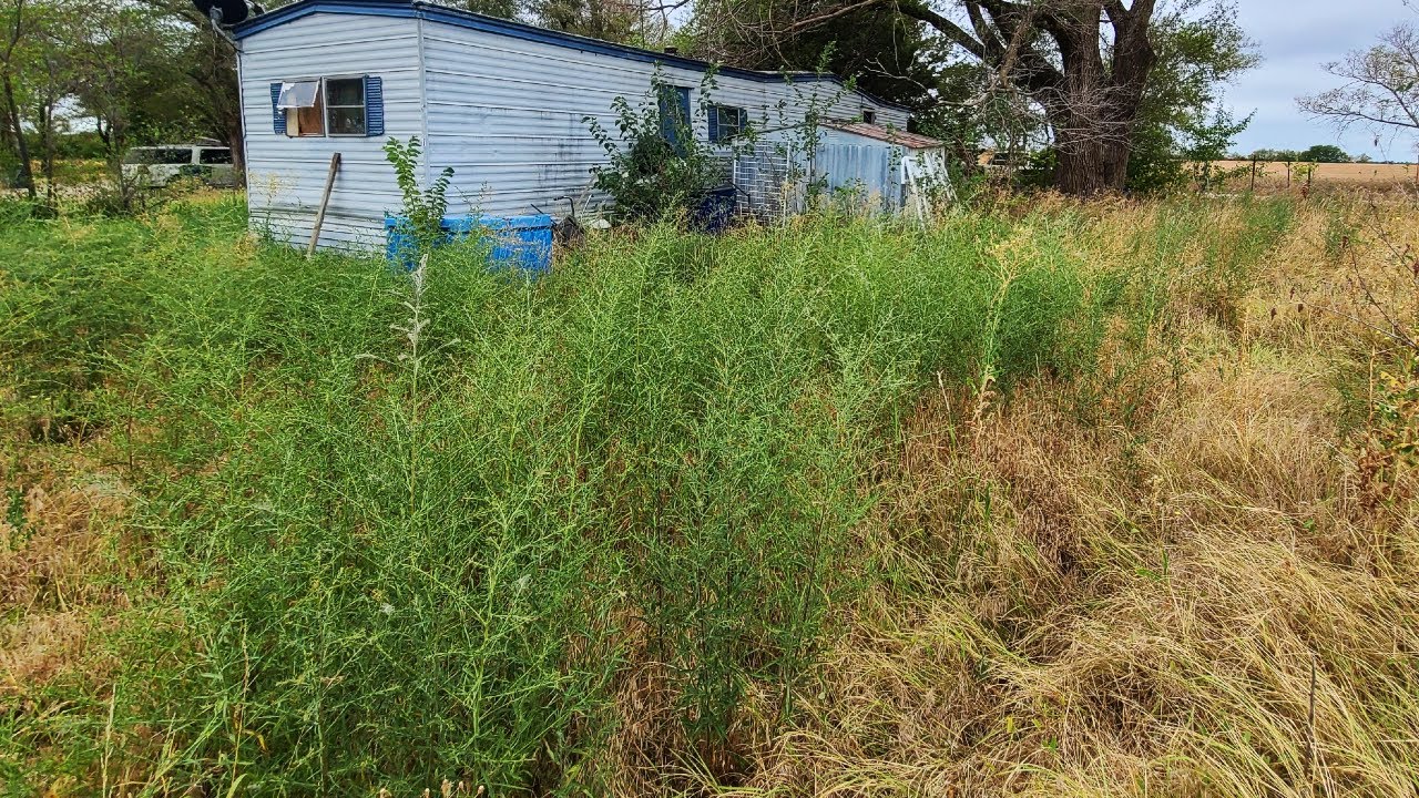Disabled Homeowner Could Only Pay $20 So I MOWED Her CRAZY TALL GRASS For FREE