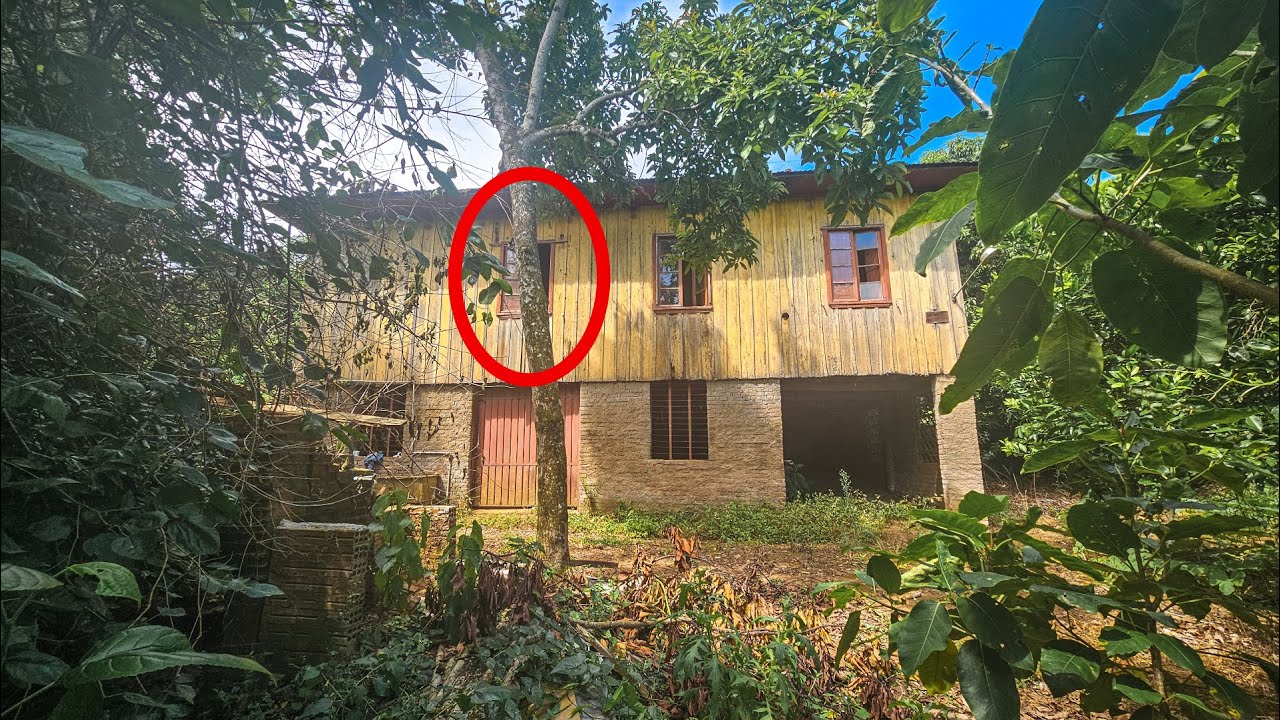OUVI BARULHO E QUANDO FUI VER, ENCONTREI ELES SOZINHOS NESSA CASA ABANDONADA NA BEIRA DA ESTRADA!