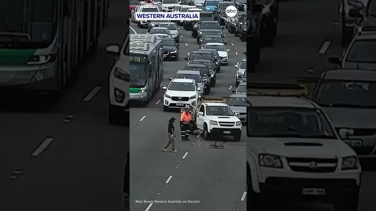 Family of ducks stops traffic on Australia highway