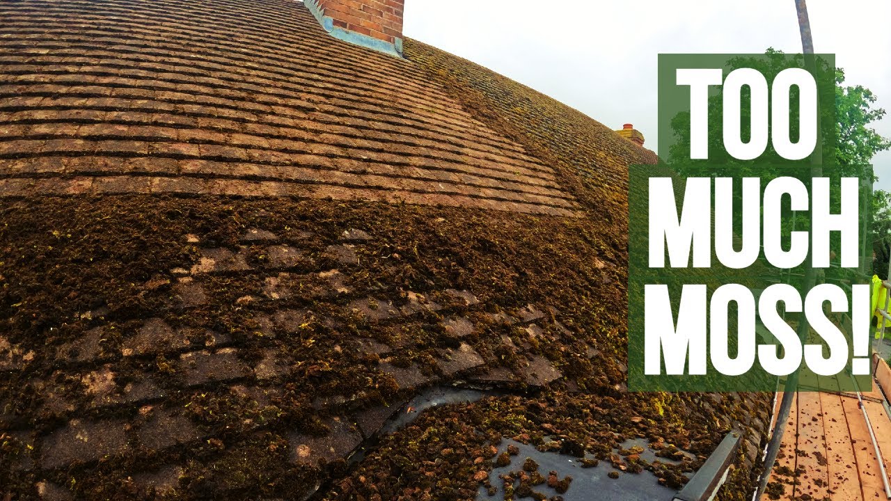This roof had a SERIOUS moss problem, so we cleaned it in one day!