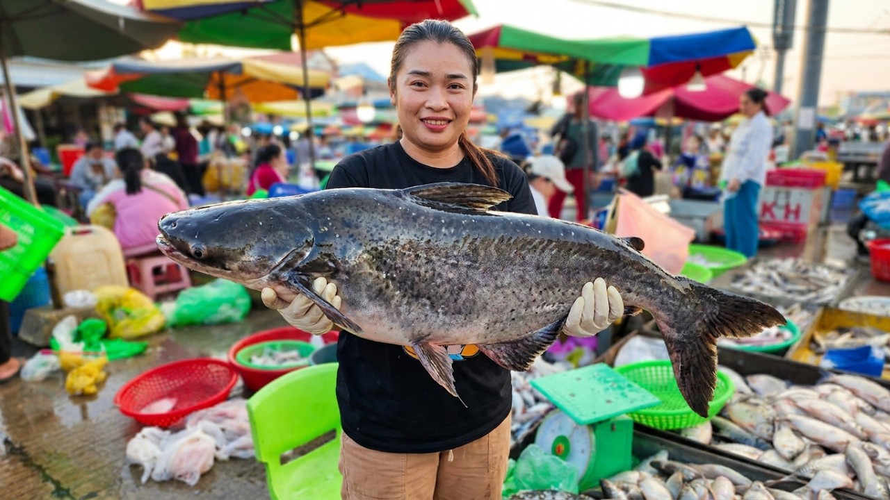 Massive Fish Distribution in Cambodia  Busy Market & People Activities