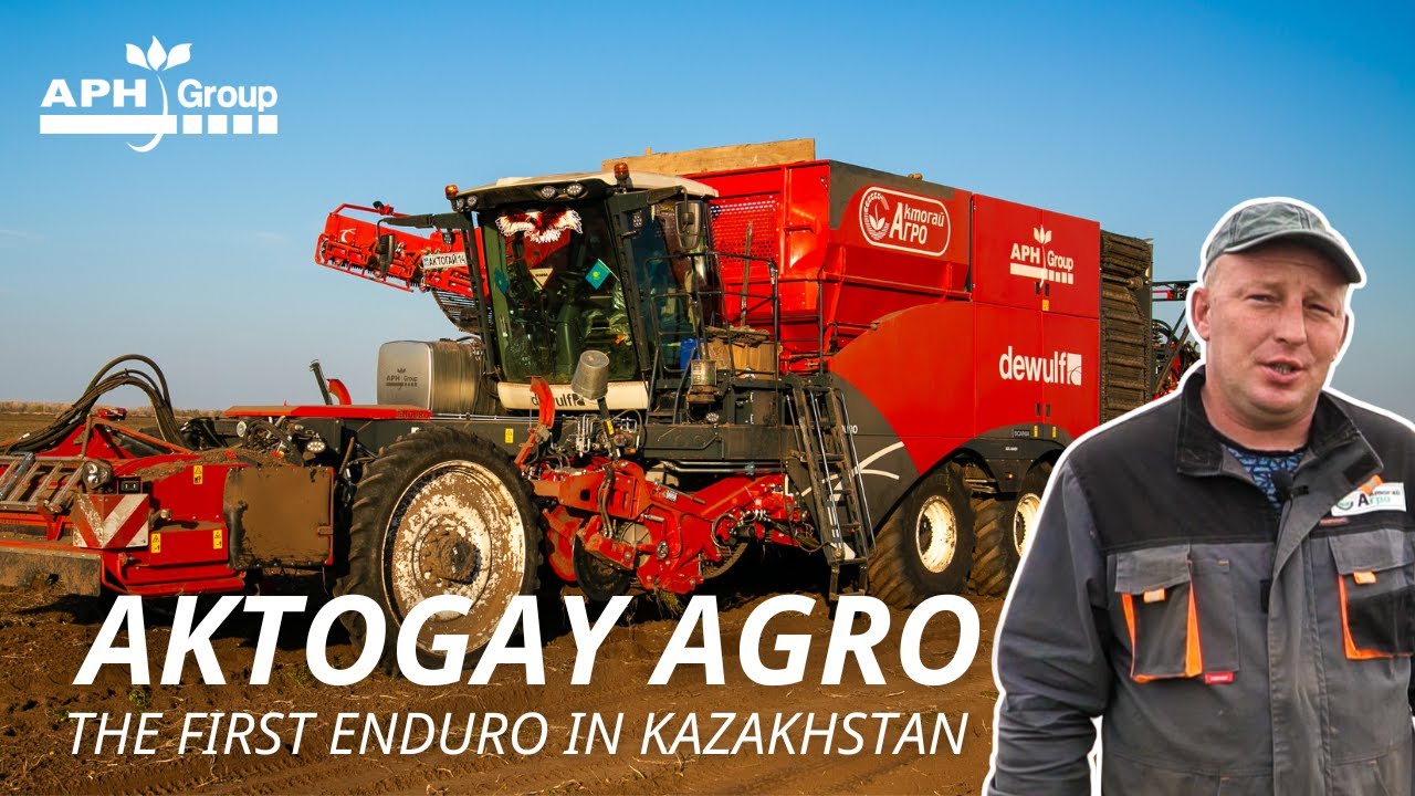 Harvesting 1600 hectares of potatoes in Pavlodar (Kazakhstan) with a Dewulf Enduro | Aktogay Agro