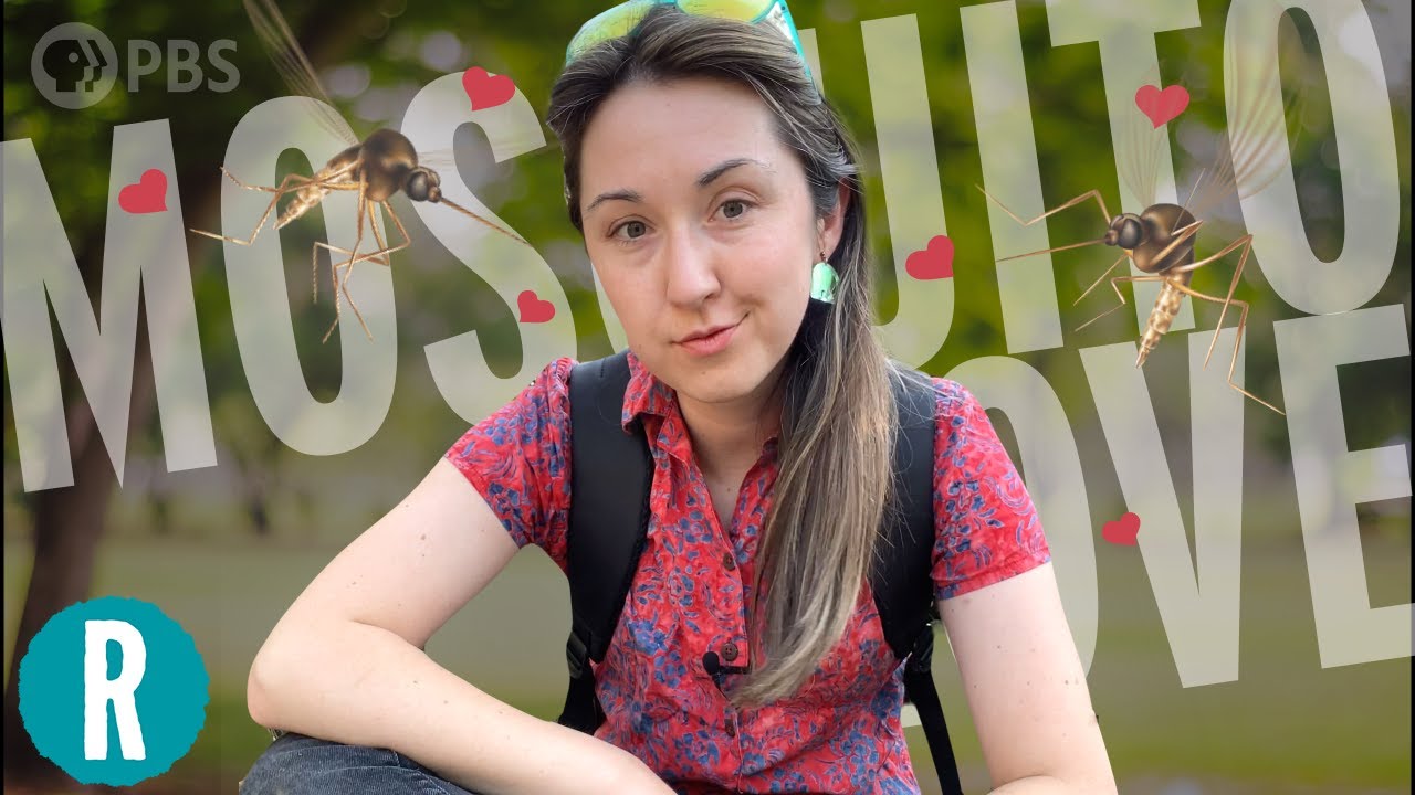 Why are Mosquitos So Obsessed with Me?
