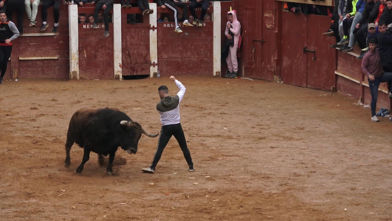 Ciudad Rodrigo 2024  Capea del martes, Aldeanueva