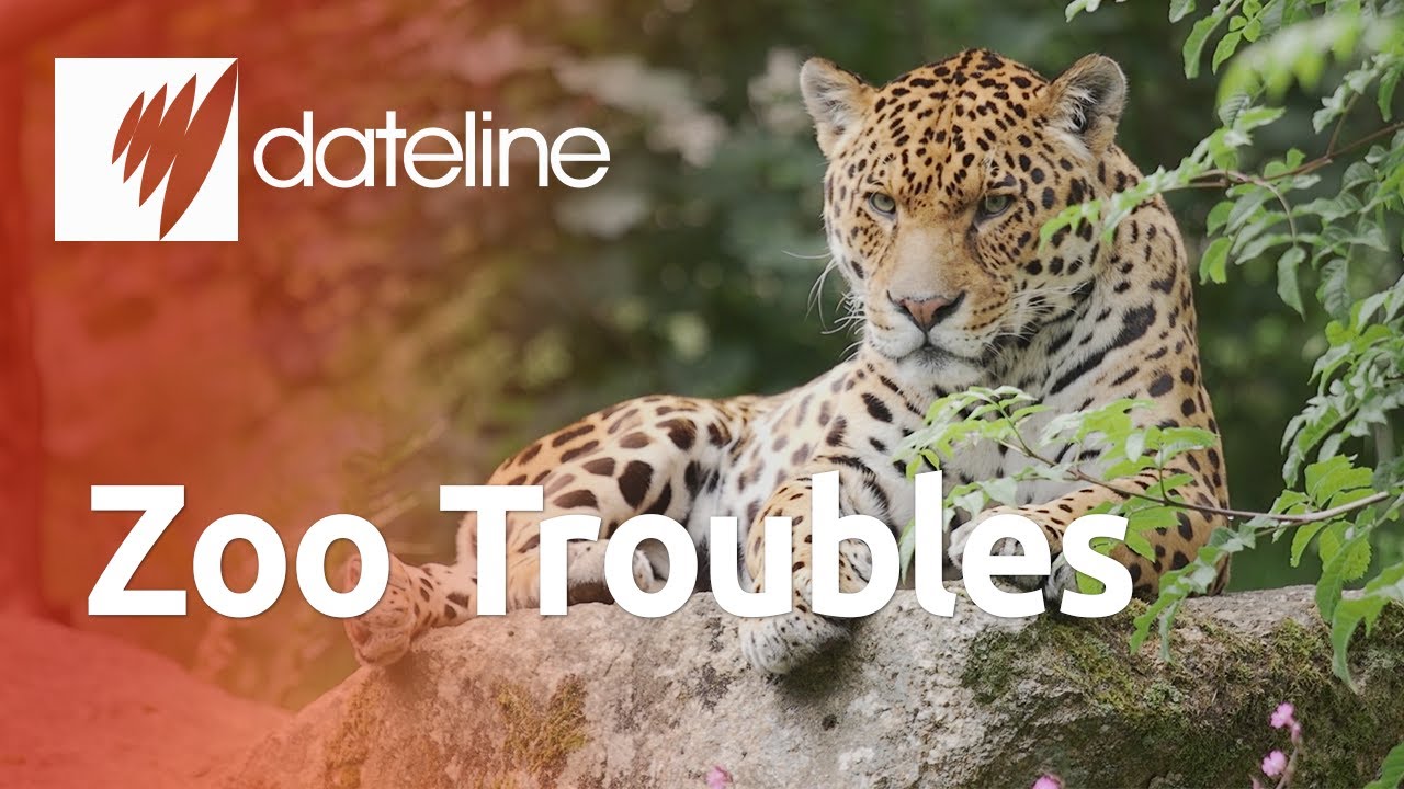 Britain's animals and zoos being driven to extinction